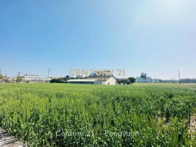 自強段, Daya Dist., Taichung 428, Taiwan