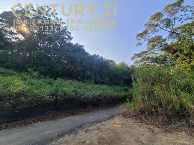 灣東段, Huatan Township, Changhua County 503, Taiwan