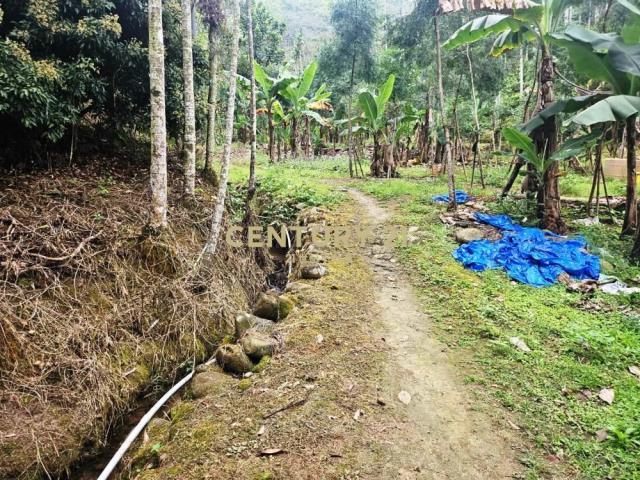 龍眼林段, Zhongliao Township, Nantou County 541, Taiwan