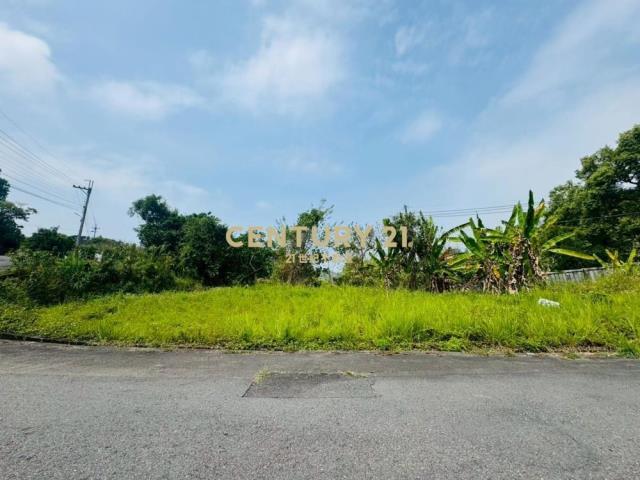 復興段, Wufeng Dist., 타이 중 413, 대만