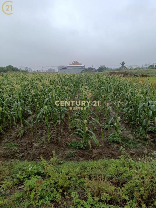 總安段, Annan Dist., 台南 709, 台湾