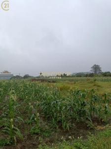 總安段, Annan Dist., 台南 709, 台湾