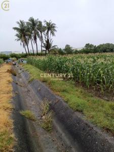 總安段, Annan Dist., 台南 709, 台湾