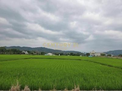 包尾段, Nantou עיר, Nantou קאונטי 540, טיוואן 