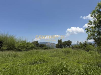 永豐段, Waipu Dist., Taichung 438, Taiwan