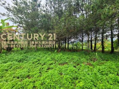 新福興段, Чжушань, Уезд Наньтоу 557, Тайвань