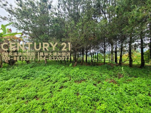 新福興段, Чжушань, Уезд Наньтоу 557, Тайвань