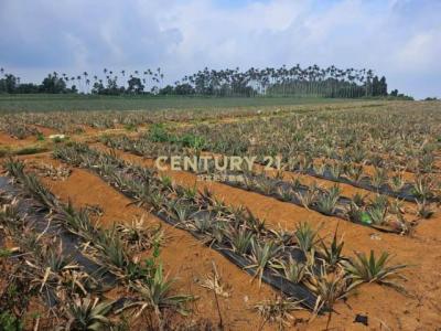 猴探井段, Наньтоу, Уезд Наньтоу 540, Тайвань