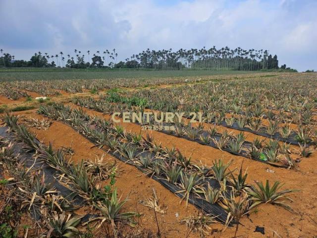 猴探井段, Наньтоу, Уезд Наньтоу 540, Тайвань