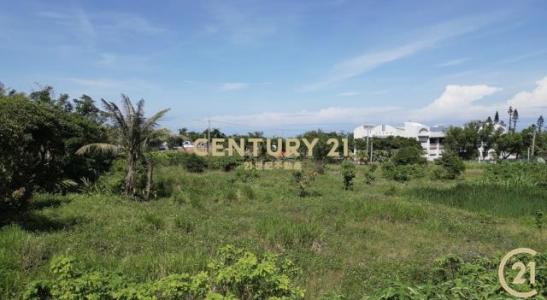 萬年段, Donghe Township, Taitung County 959, Taiwan