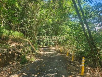 內轆段, Nantou עיר, Nantou קאונטי 540, טיוואן 