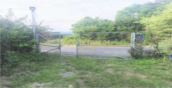 八股段, Puli Township, Nantou County 545, Taiwan