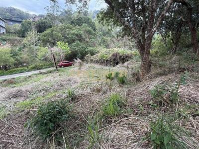 新雞隆段, Tongluo Township, Miaoli County 366, Taïwan