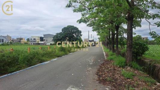 大社, Xinshi Dist., 타이난 744, 대만