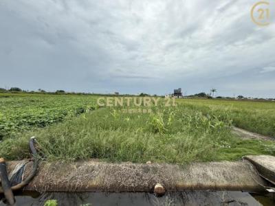 栗子崙段中洲小段, Dongshi Township, Chiayi County 614, Taiwan