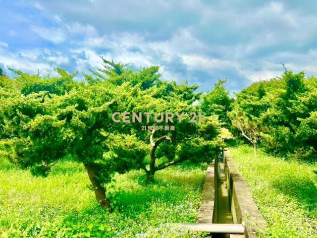 舊正東段, Wufeng Dist., 타이 중 413, 대만