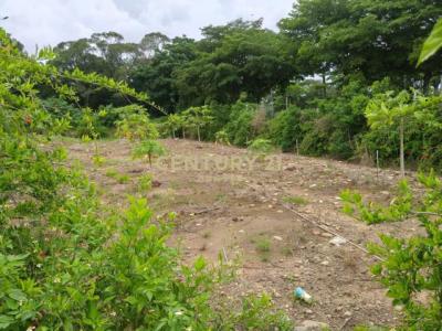 忠雅段, Daya Dist., Taichung City 428, Taiwan