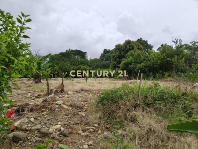 忠雅段, Daya Dist., Тайчжун 428, Тайвань