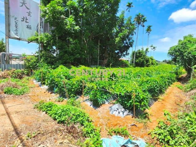 猴探井段, Nantou עיר, Nantou קאונטי 540, טיוואן