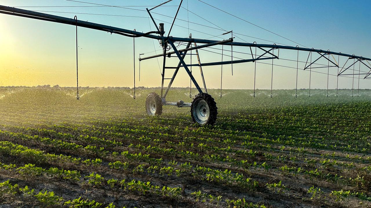 00 Cr 1370, Clarksville, 德克薩斯州 75426, 美國