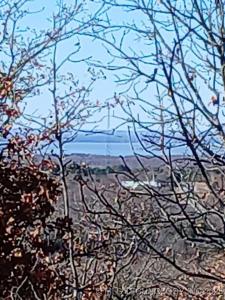 1 Mile Road, Stigler, Oklahoma 74462, Estados Unidos