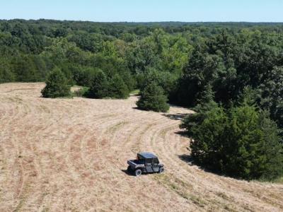 Tract 2 N Barnett School Rd, STURGEON, Missouri 65284, Estados Unidos