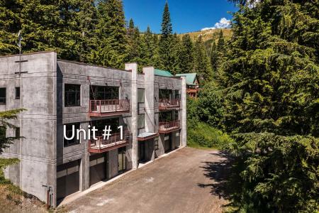 677 Telemark Rd Unit 1, Sandpoint, Idaho 83864, USA