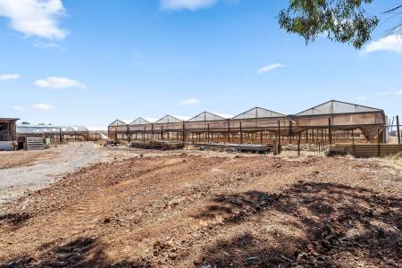 163 Robert Road, 維吉尼亞州, SA 5120, 澳洲