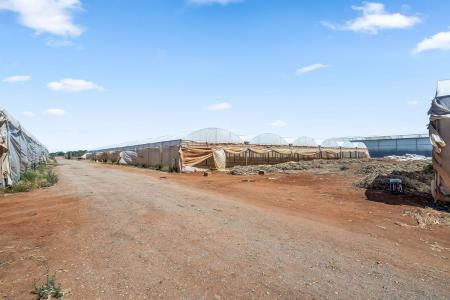 163 Robert Road, 維吉尼亞州, SA 5120, 澳洲