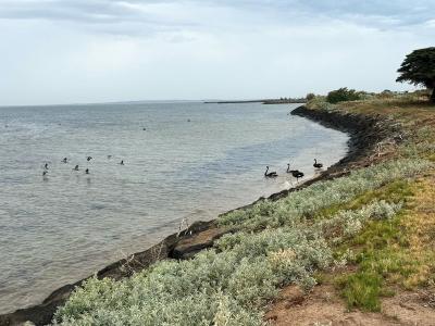 285 Crawfords Road, Werribee South, VIC 3030, 오스트레일리아