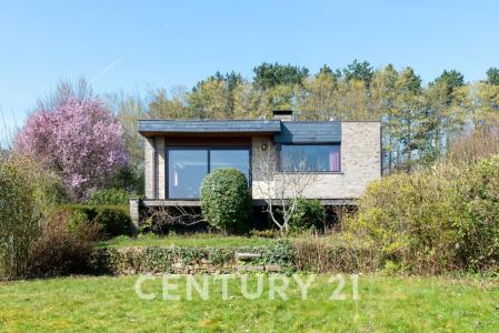 Koppenberg  15 A, Oudenaarde, Belgium