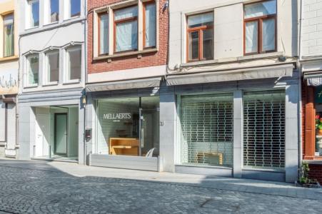 Basiliekstraat 18, Halle, Belgium