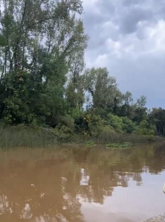 Canal Gobernador Arana S/N, San Fernando, GBA Norte 1647, Arjantin