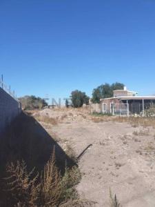 callejon molina 2745, Maipú, Mendoza 5000, Argentyna