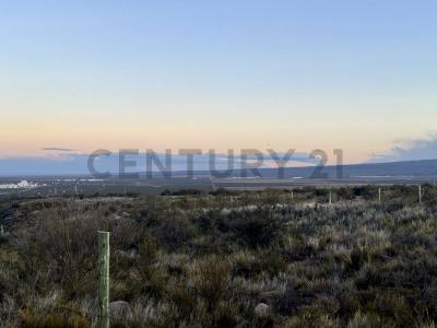 Ruta Panamericana 0, Las Compuertas, Mendoza 5549, Argentyna