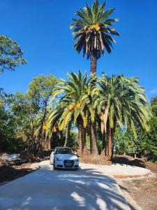 Lanus 932, Morón, GBA Oeste 00001, Argentina