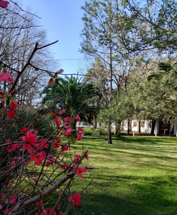 Roberto Arlt y Av Gaona 0, General Rodríguez, GBA Oeste 00001, 아르헨티나