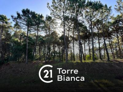 HELIOS Y SELENE , Pinamar, Buenos Aires Costa Atlántica 7167, Argentina