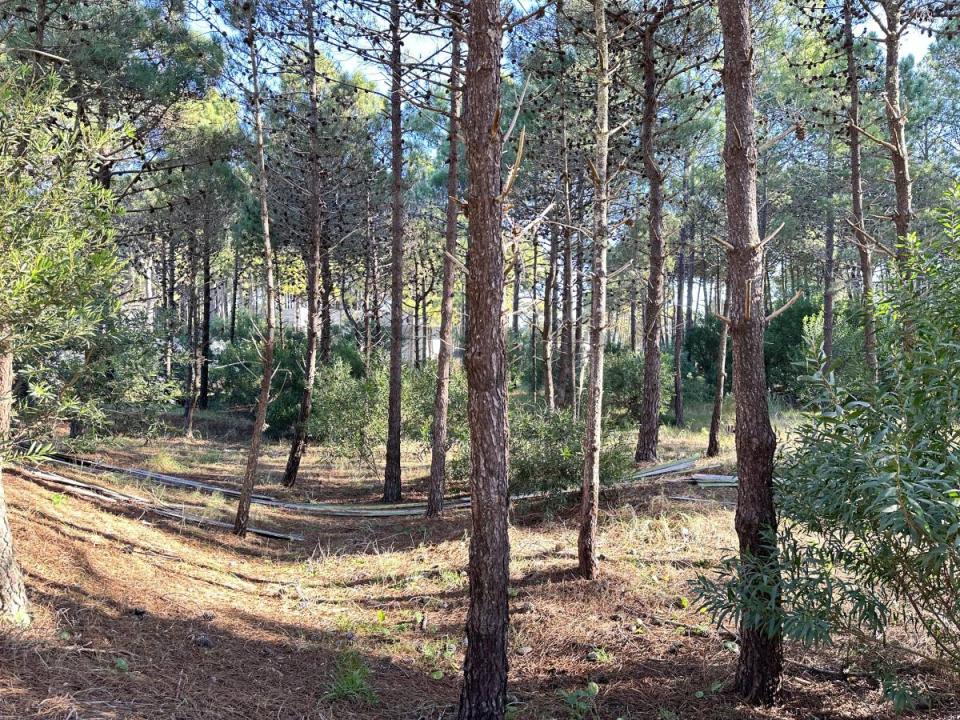 HELIOS Y SELENE , Pinamar, Buenos Aires Costa Atlántica 7167, Argentina