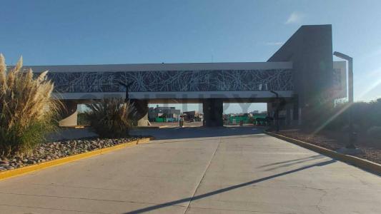 244W+C9 , Luján De Cuyo, Mendoza 00001, Argentina