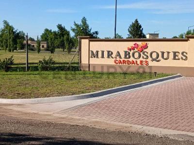 Cuba , Campana, GBA Norte 2814, 아르헨티나