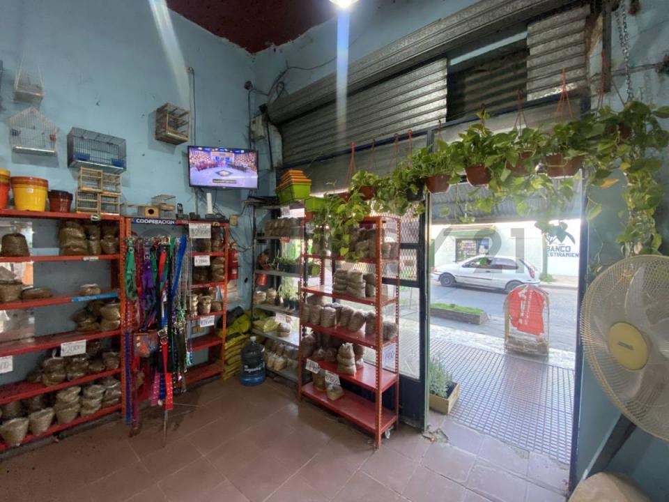 Almirante Brown, GBA Sur 00001, Argentina