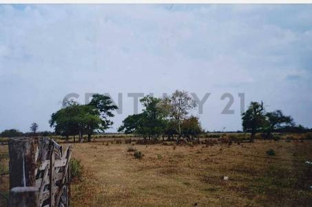 Villa Guillermina, Santa Fe 3589, Argentina