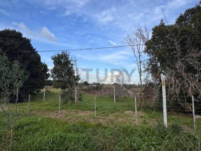 La Plata, GBA Sur 1900, 아르헨티나