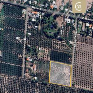 Maipú, Mendoza 00001, Argentyna