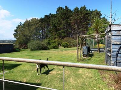 896 State Highway 12, Dargaville, Kaipara District 0373, New Zealand