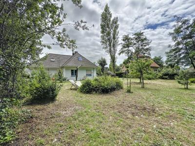 Louisweg 81, Nieuwpoort, Belgium