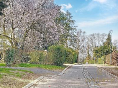 Rue Sainte-Gertrude 16, Waterloo, Bélgica