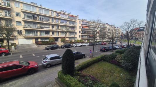 Avenue Neptune 49, Rừng, Bỉ