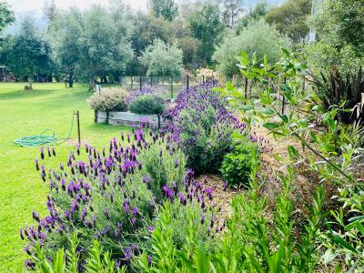 9384B Henry Parkes Way, Parkes, NSW 2870, Australia